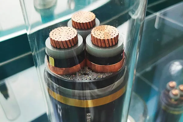 सर्वसमावेशक सेवा समर्थन