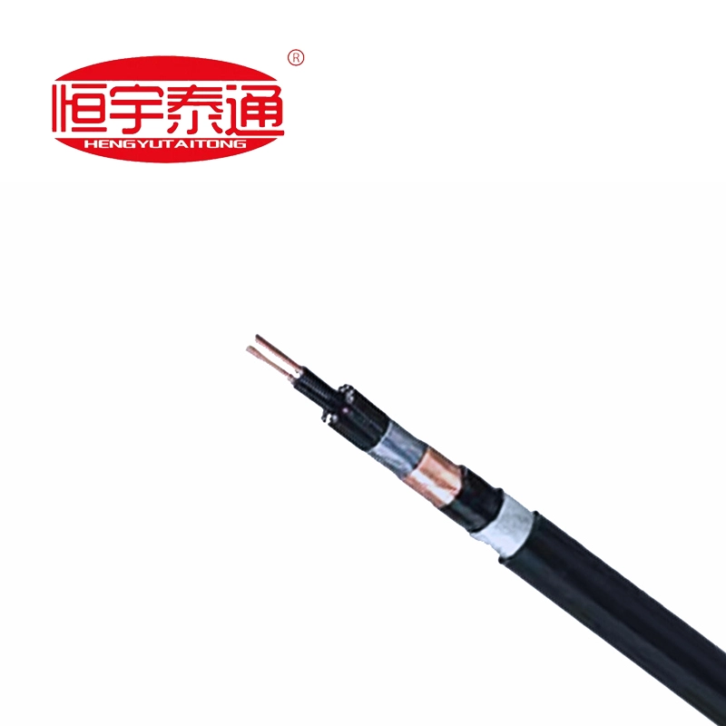 फ्लोरोप्लास्टिक इन्सुलेटेड उष्णता प्रतिरोधक विशेष केबल्स